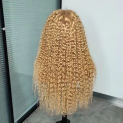 Honey Blonde 13x4 HD Transparent Lace Front Wig #27 Blonde Colored Human Hair Frontal Wig 18 Honey Blonde 13x4 HD Transparent Lace Front Wig #27 Blonde Colored Human Hair Frontal Wig -Ethereal Hair Shop 27 WW 6 78287 1