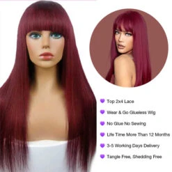 Burgundy 99J Silk Straight Human Hair Wig With Bangs Glueless Top 2x4 Lace Wig Fringe Style -Ethereal Hair Shop 700 4 4