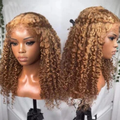 220% Density 4C Curly Edges Colored Wig 13x6 Full Lace Human Hair Glueless Wig With Curly Baby Hair -Ethereal Hair Shop 700 27 blonde 4c edges curly wig 5